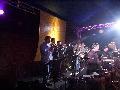 The horns