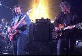 Damien Steele-Scott and Nick Panousakis